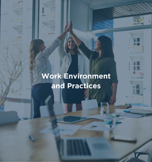 work environment and practices