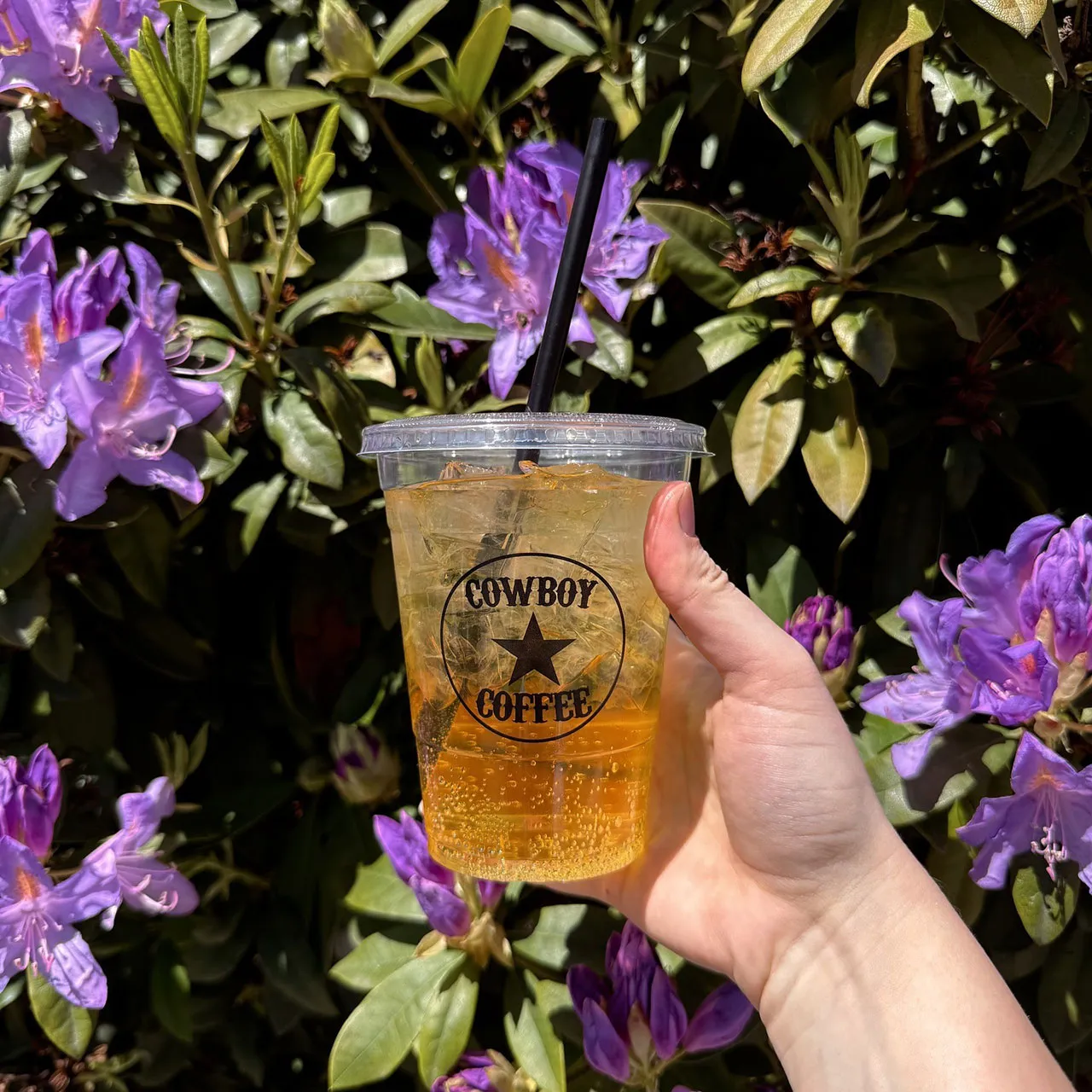 Lavander and lemon cold beverage
