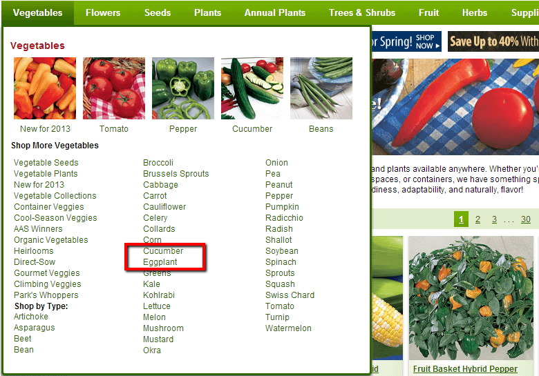 Shall we purchase eggplant or cucumber? Shall we purchase eggplant or cucumber?