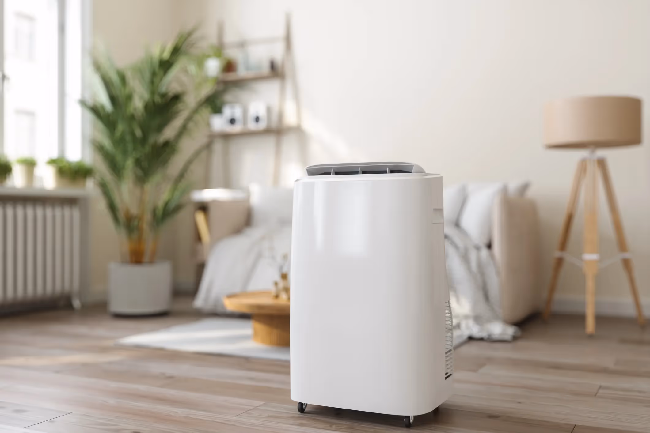 A white portable dehumidifier with wheels is shown in a sunlit bedroom with a plant in the background.