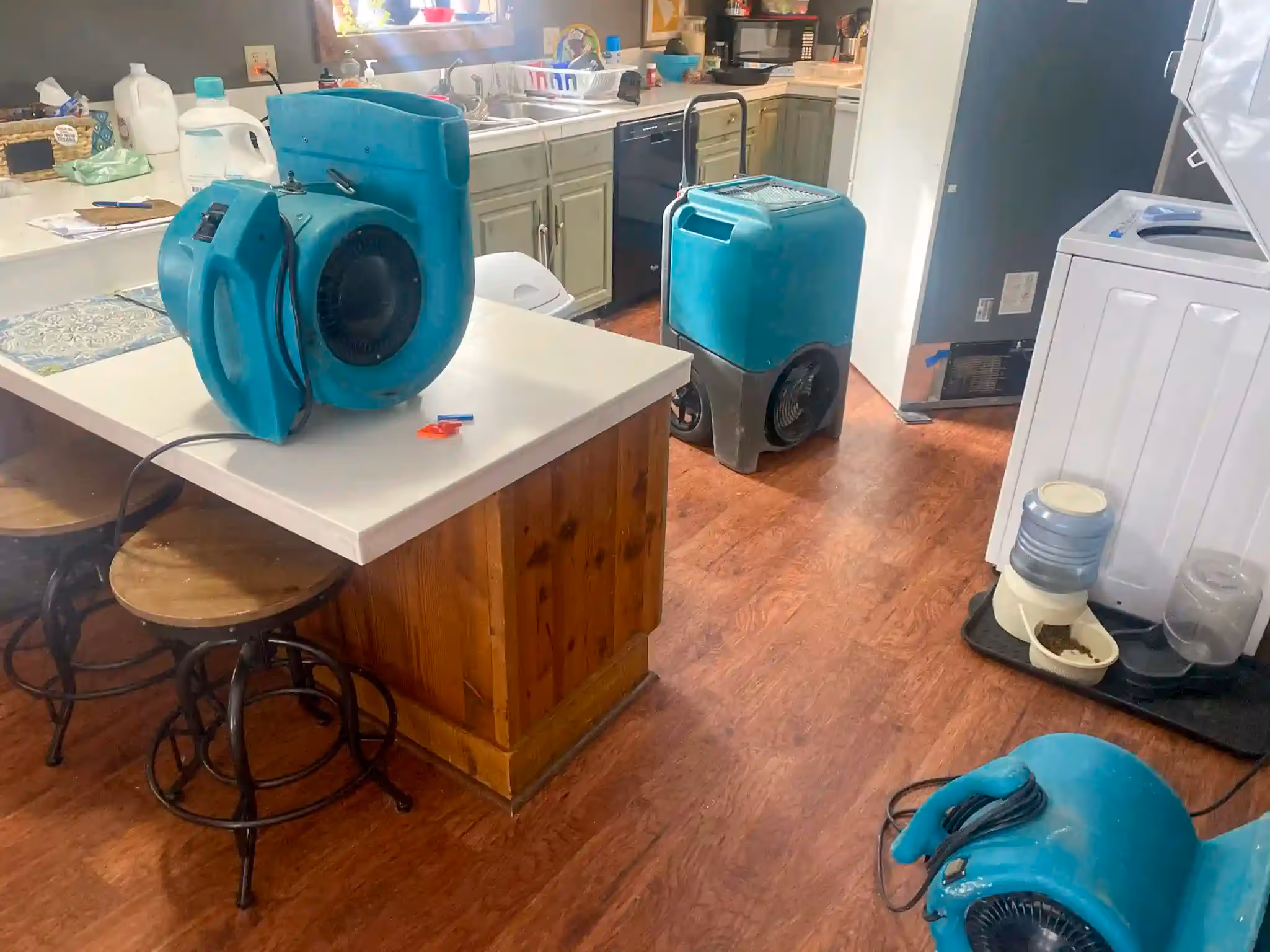 Multiple turquoise-colored industrial fans, including two box-like air scrubbers with wheels and one blower fan on a counter, are set up in a kitchen. The room has light wood floors, a wooden kitchen island with two stools, and green and white countertops.