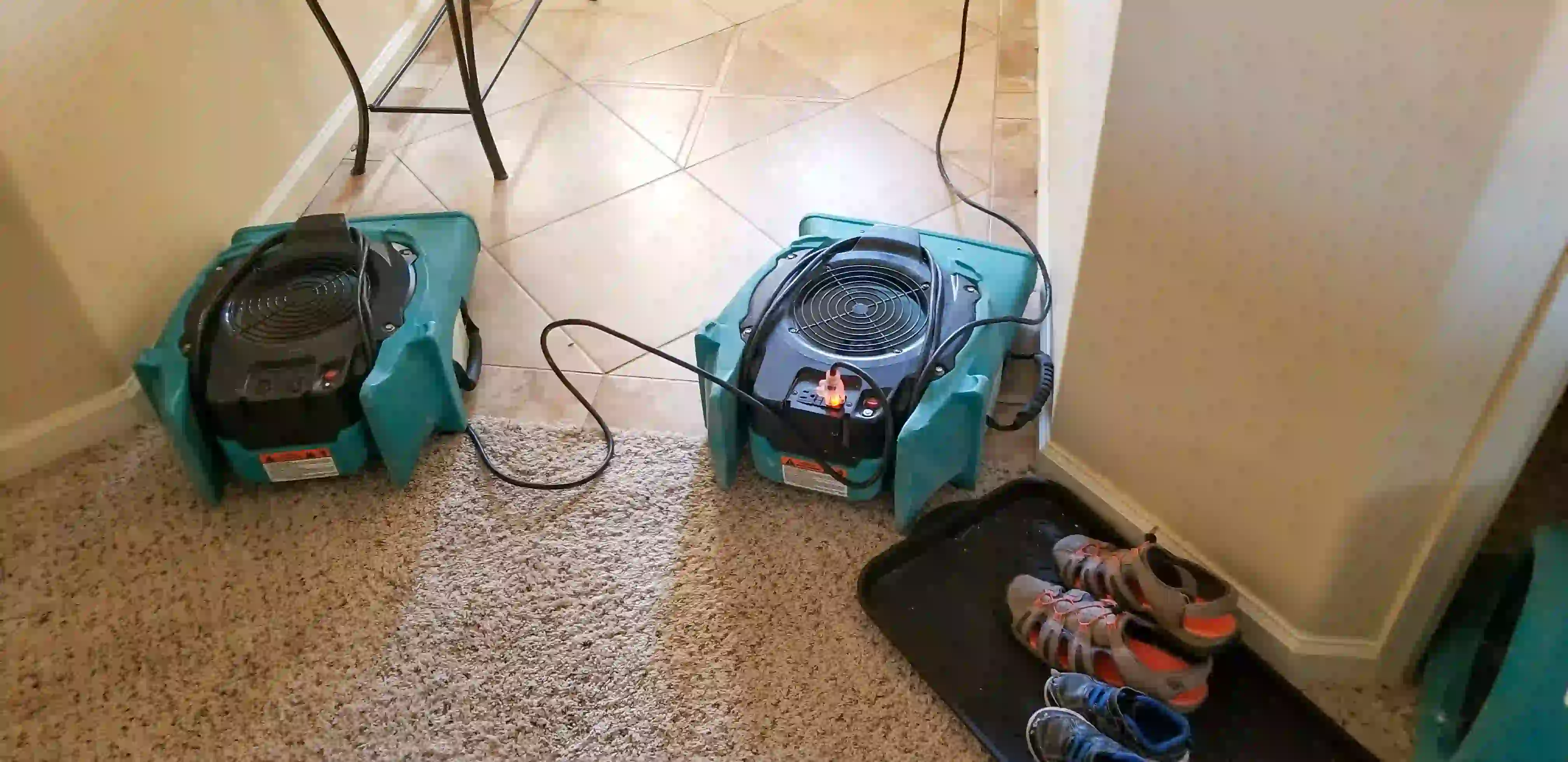 Two blue and black industrial blower fans are placed on a light-colored carpeted floor in a hallway. The fans are facing away from the camera, and their power cords are visible.