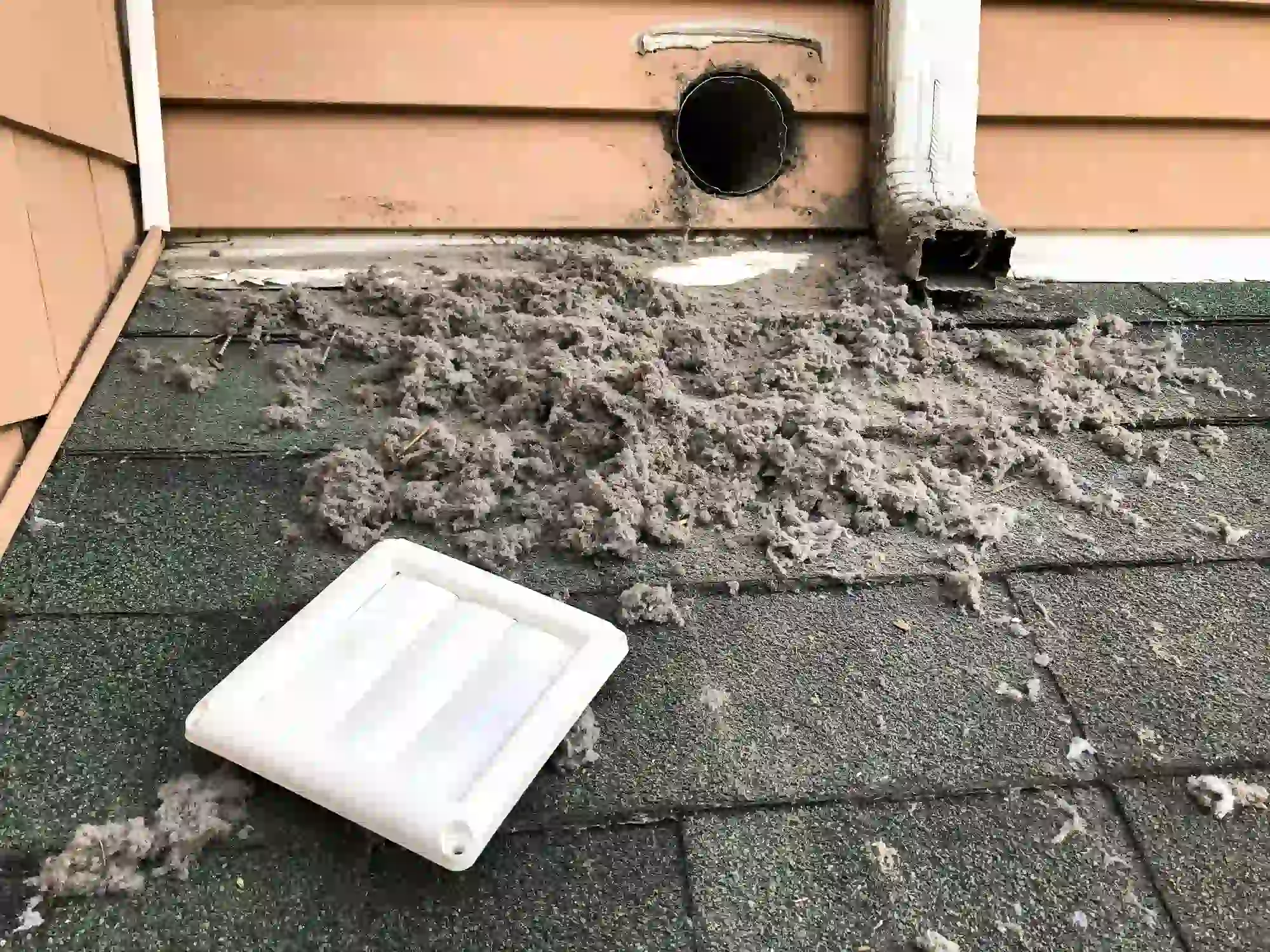 A large pile of gray lint is visible on a dark gray asphalt shingle roof. The lint has been removed from a circular dryer vent opening on the wall of the house, which has light brown siding. A detached white dryer vent cover is lying on the roof nearby. A white gutter downspout is also visible to the right of the vent.