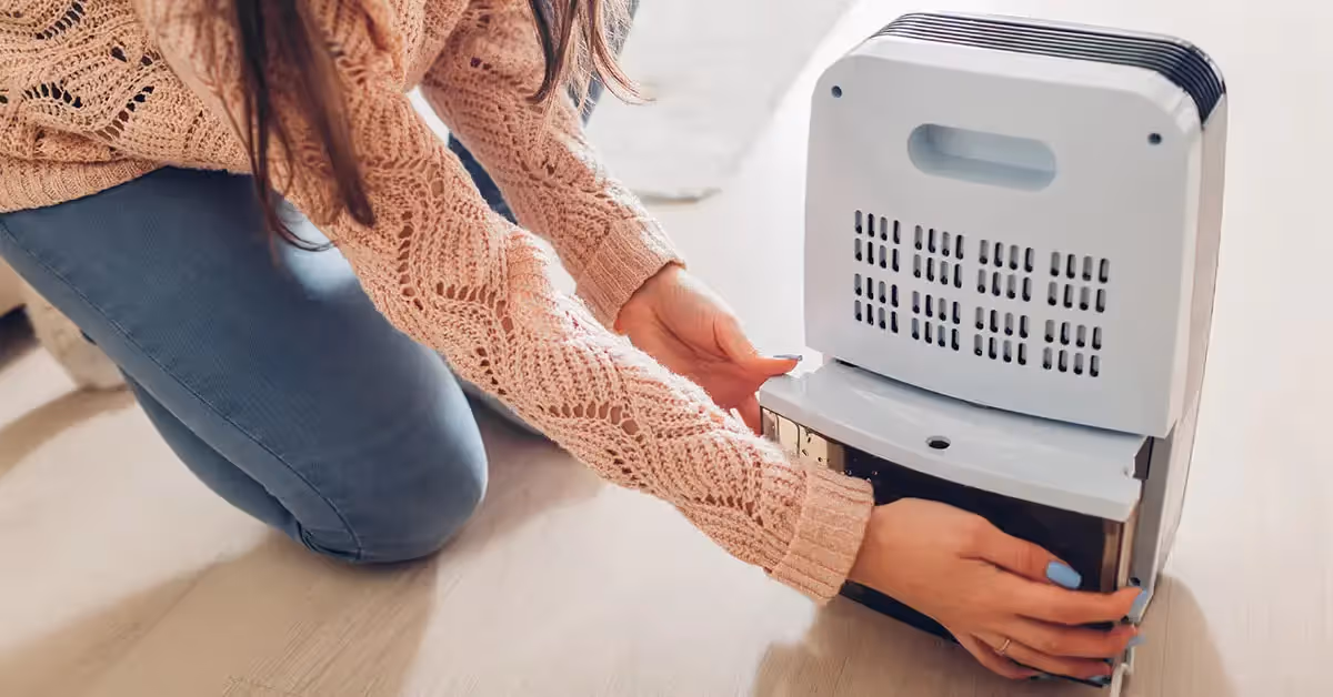A person emptying a dehumidifier's water tank.