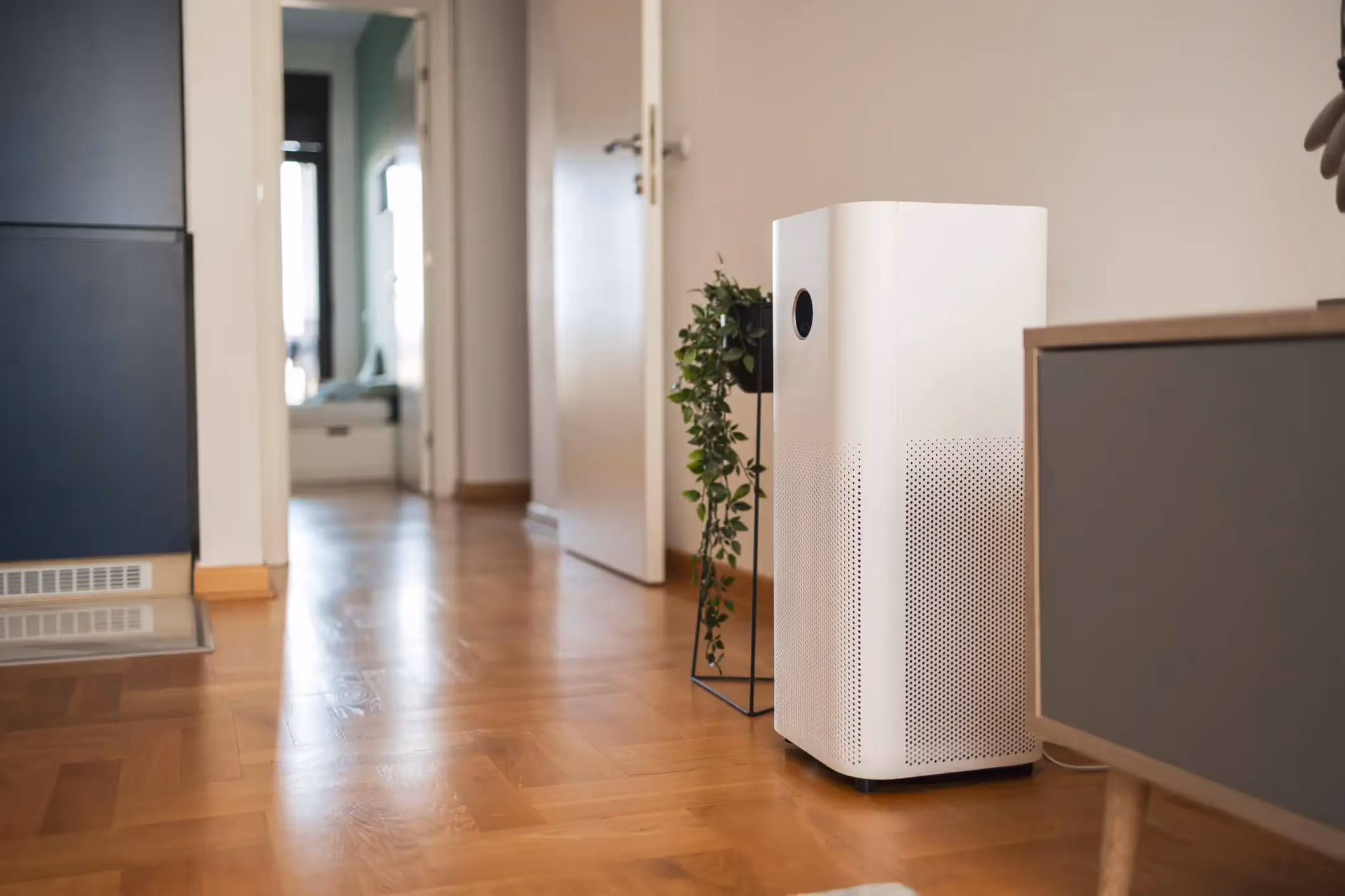 A modern, white, tall air purifier sits on a light wooden floor. It has a perforated front and a black circular display or vent on the side. Behind it is a potted plant on a black metal stand. The background shows a hallway with a white door open and a dark closet. The scene is bright and airy, with a clean aesthetic.