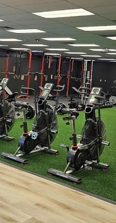 Training from the Ground Up