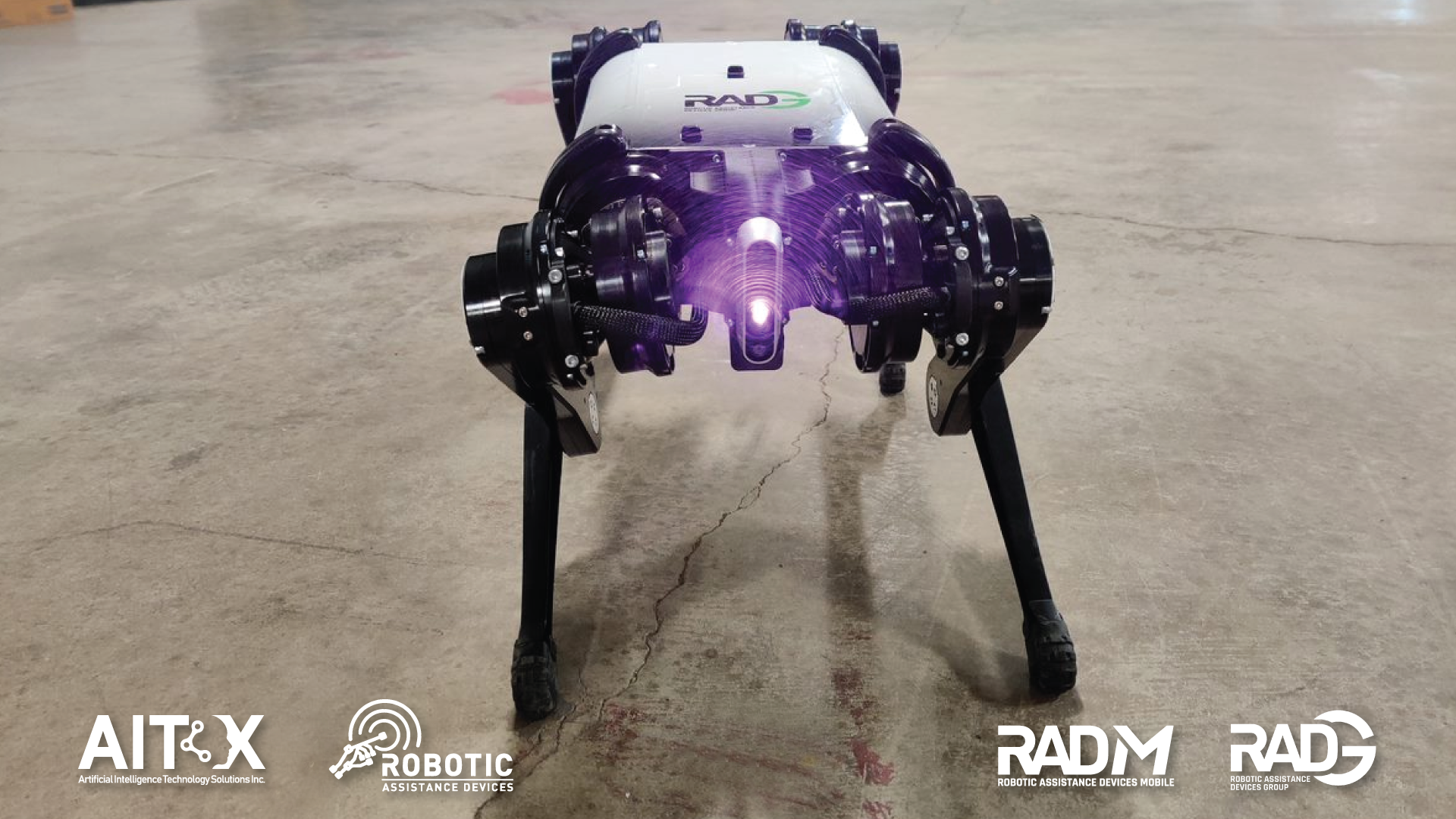 unnamed-raddog-1-1920x1080