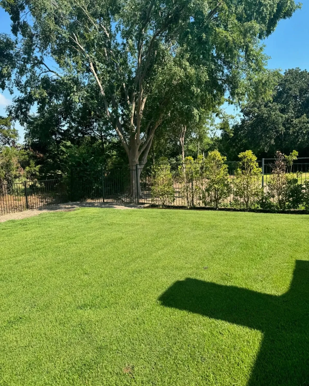 artificial turf installation near me