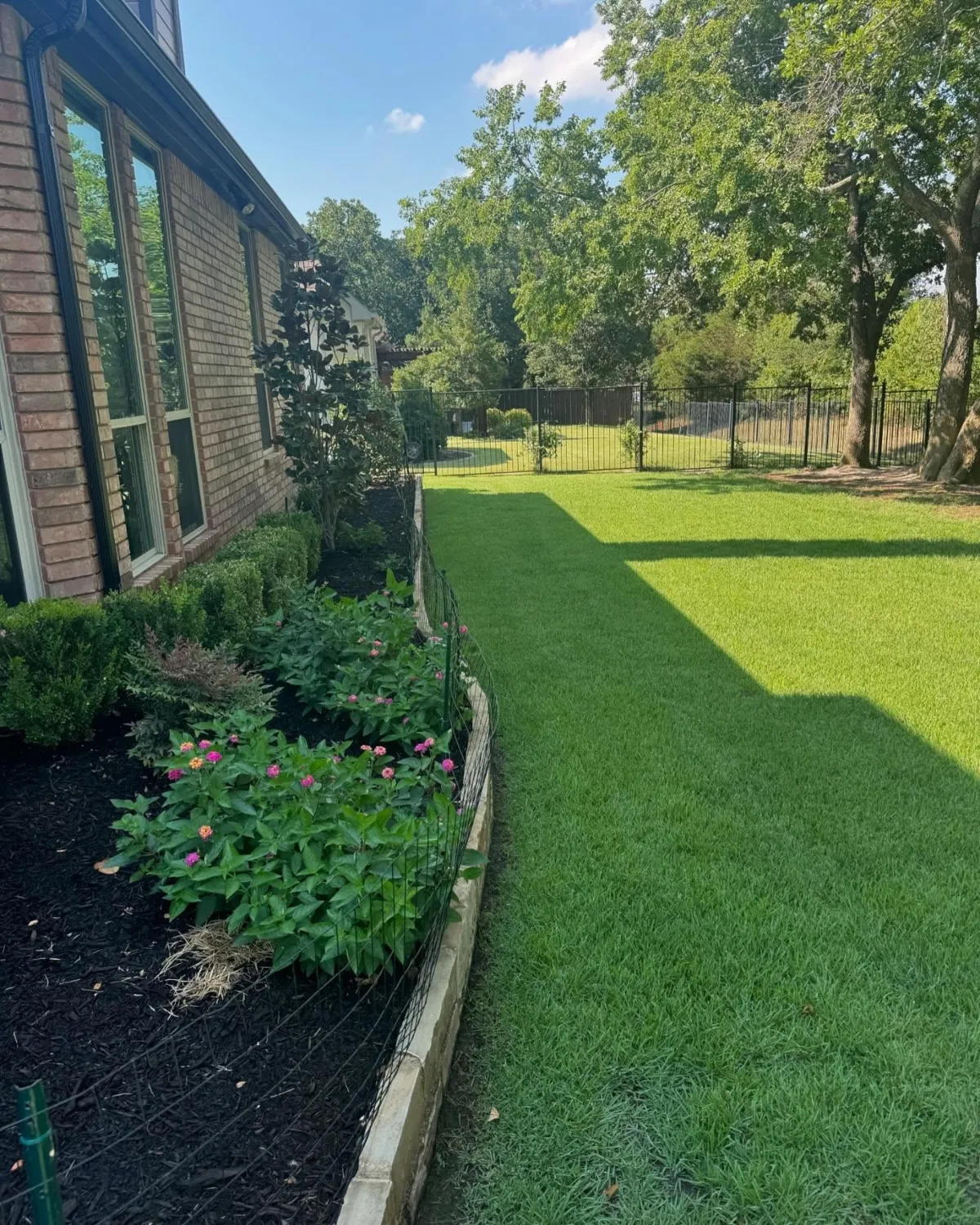 sod installation near me