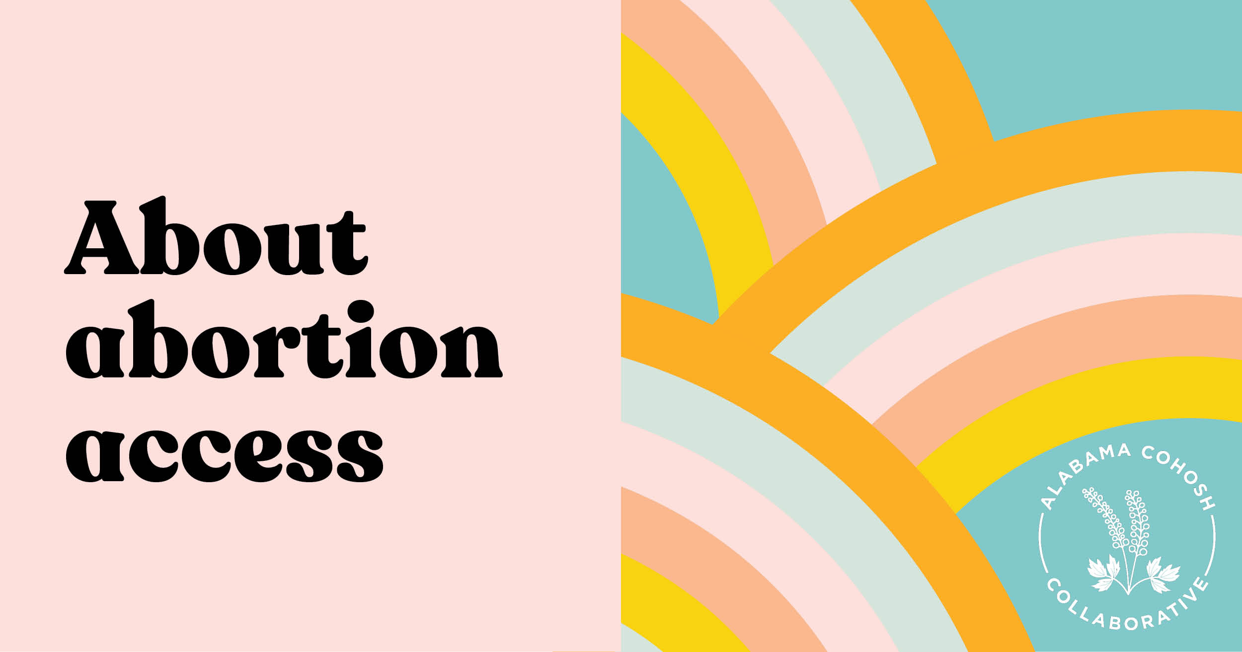 Abortion Access