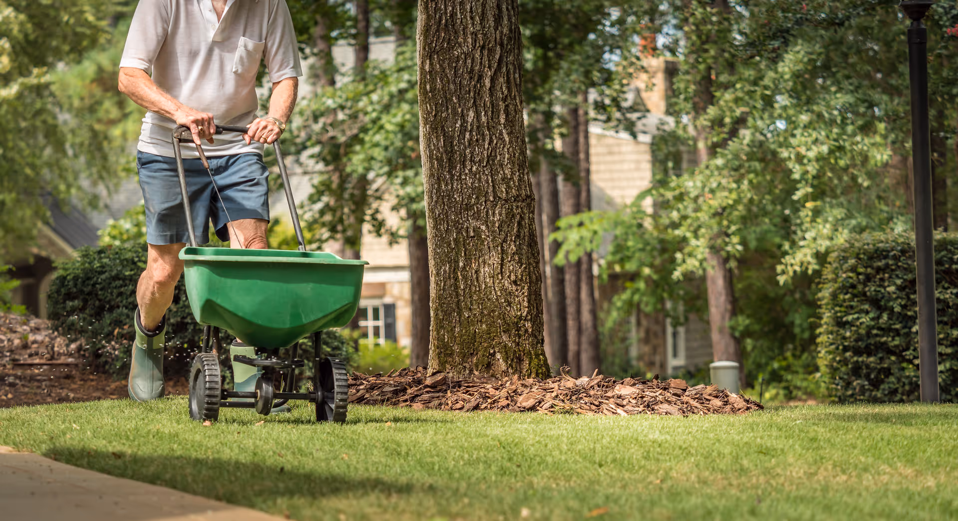 A man pushing a lawn seeding machine