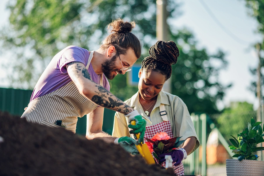 couple volunteers in community gardening
