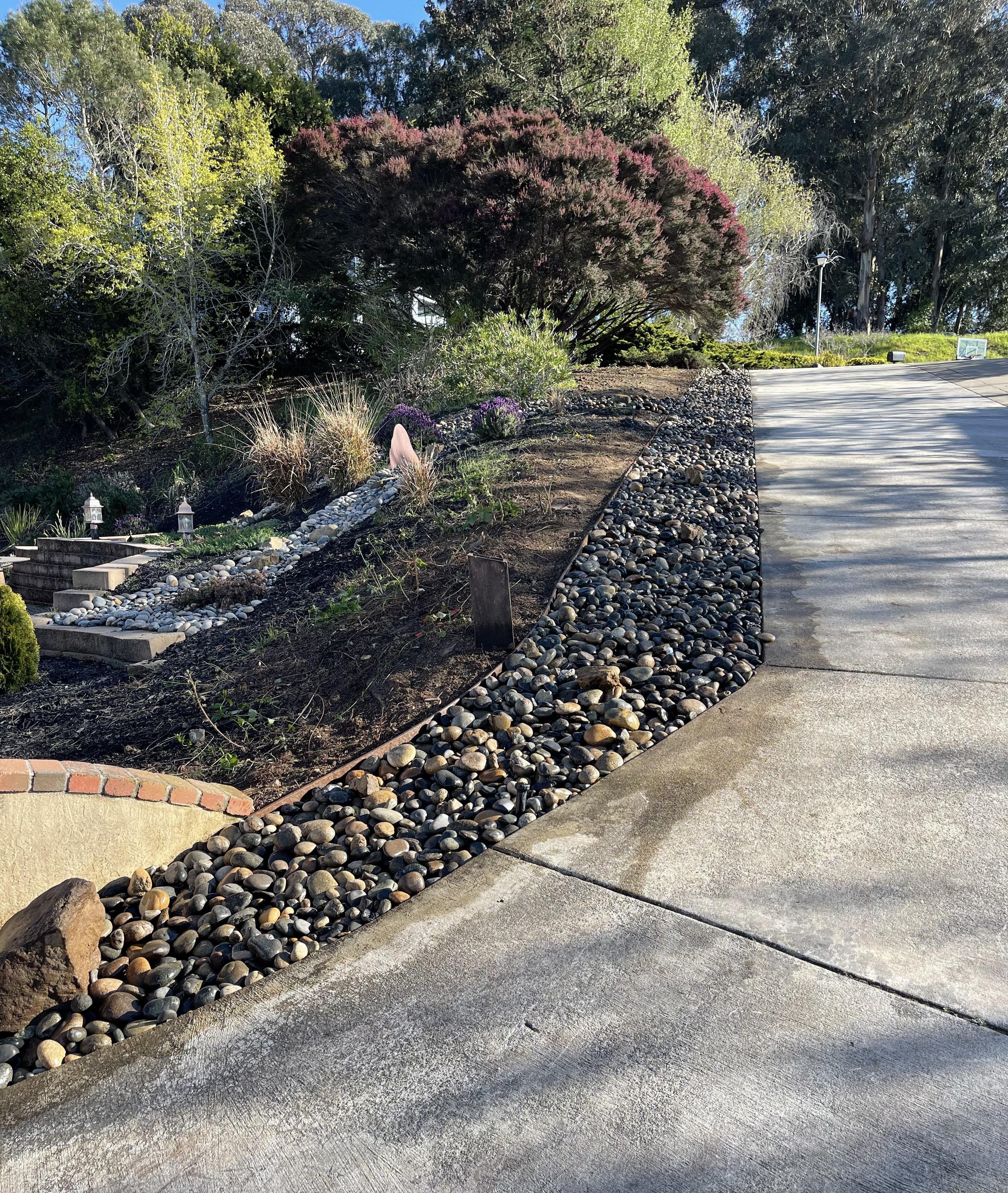 Fresh planting and mulch installation