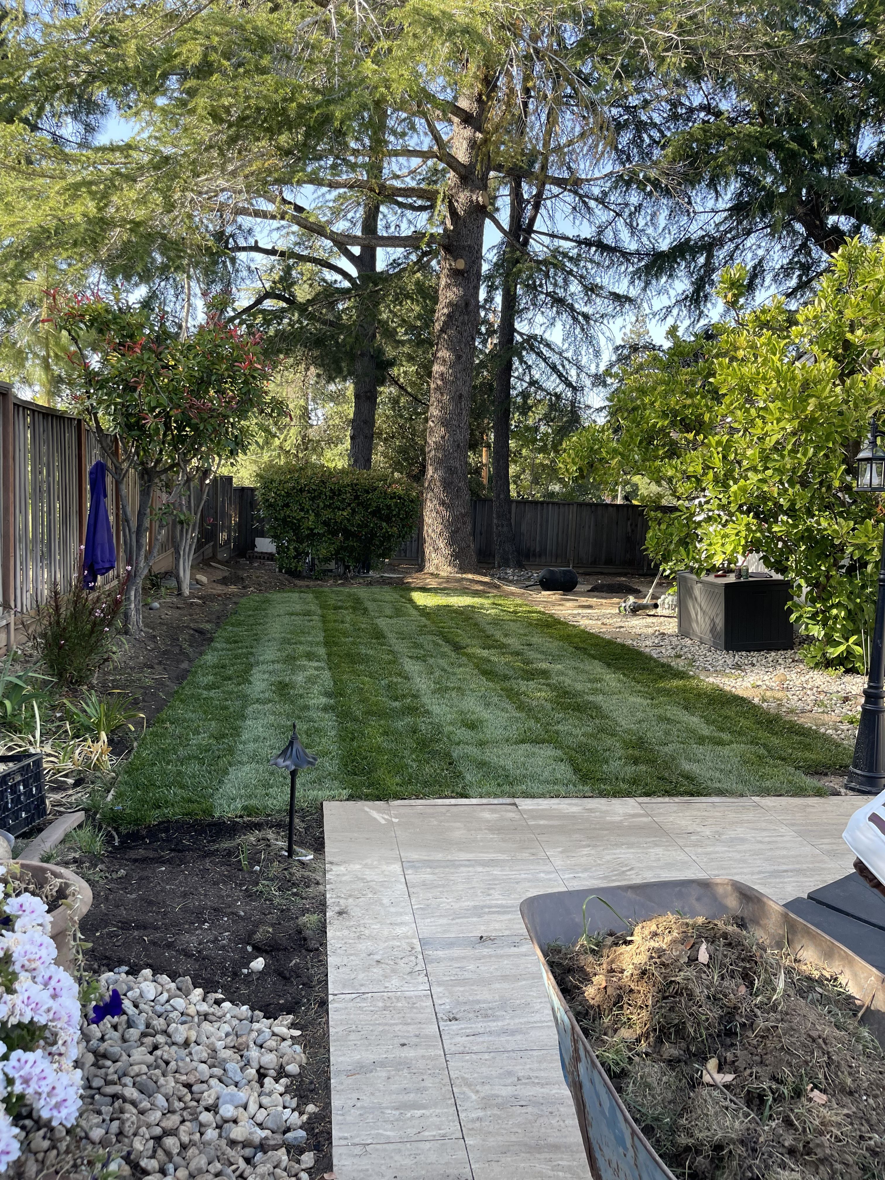 Sod installation and edging
