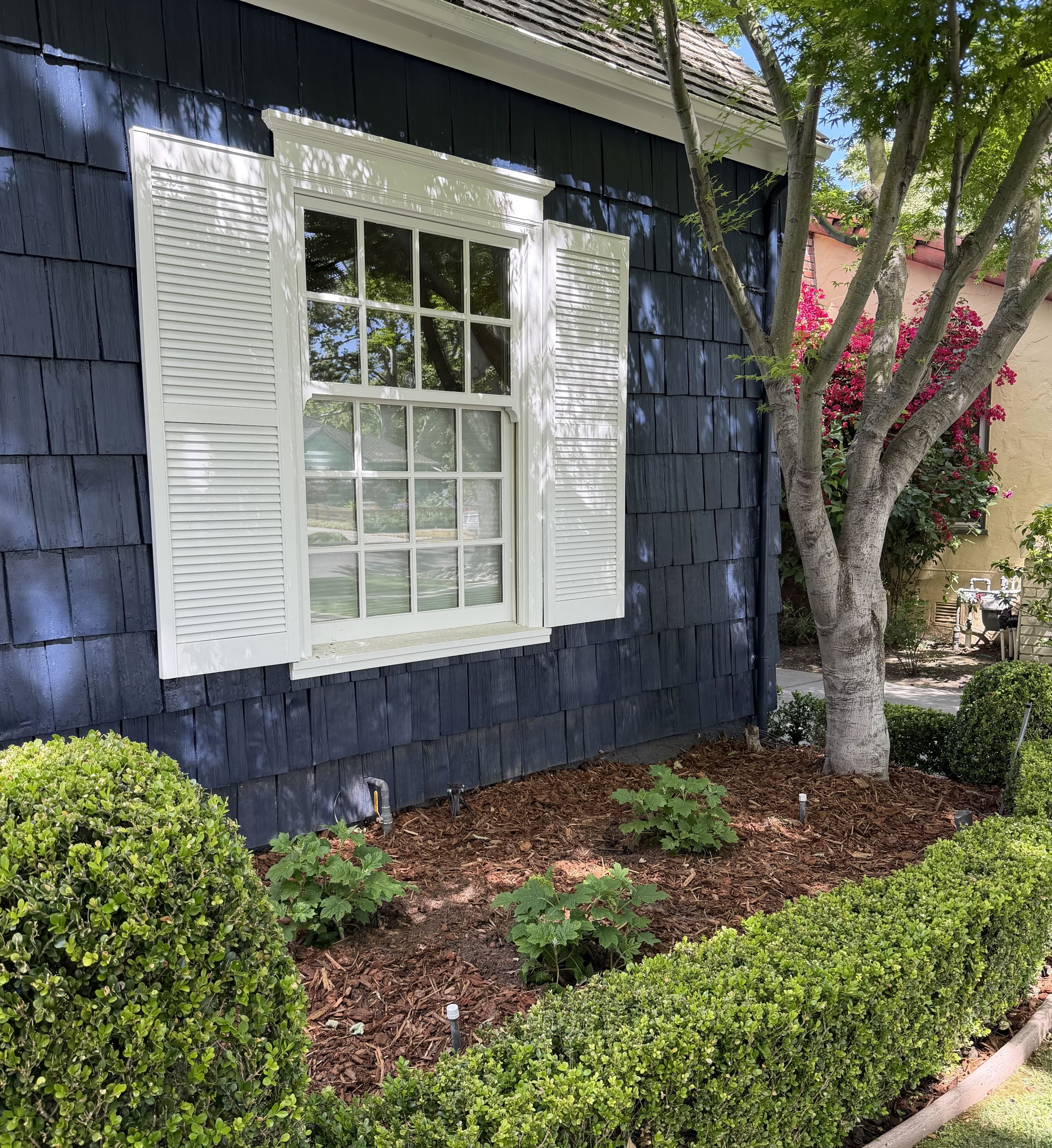 Commercial building entrance planting and landscape enhancement in San Jose CA - Jade Landscape Management