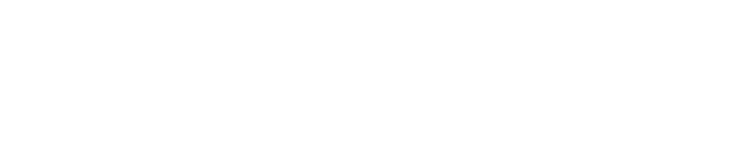 PLAE client logo