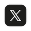 x-icon