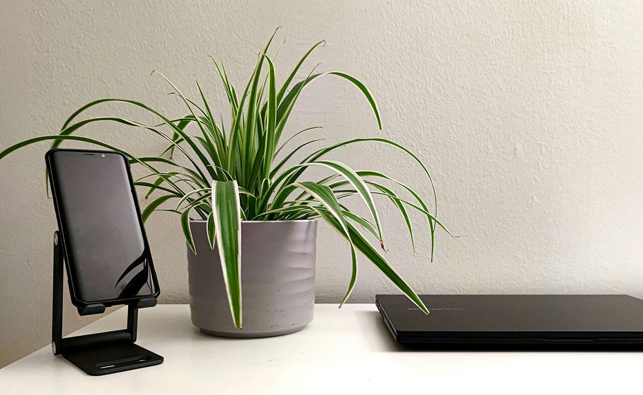 Smartphone on a stand beside a potted plant and a closed laptop on a white desk