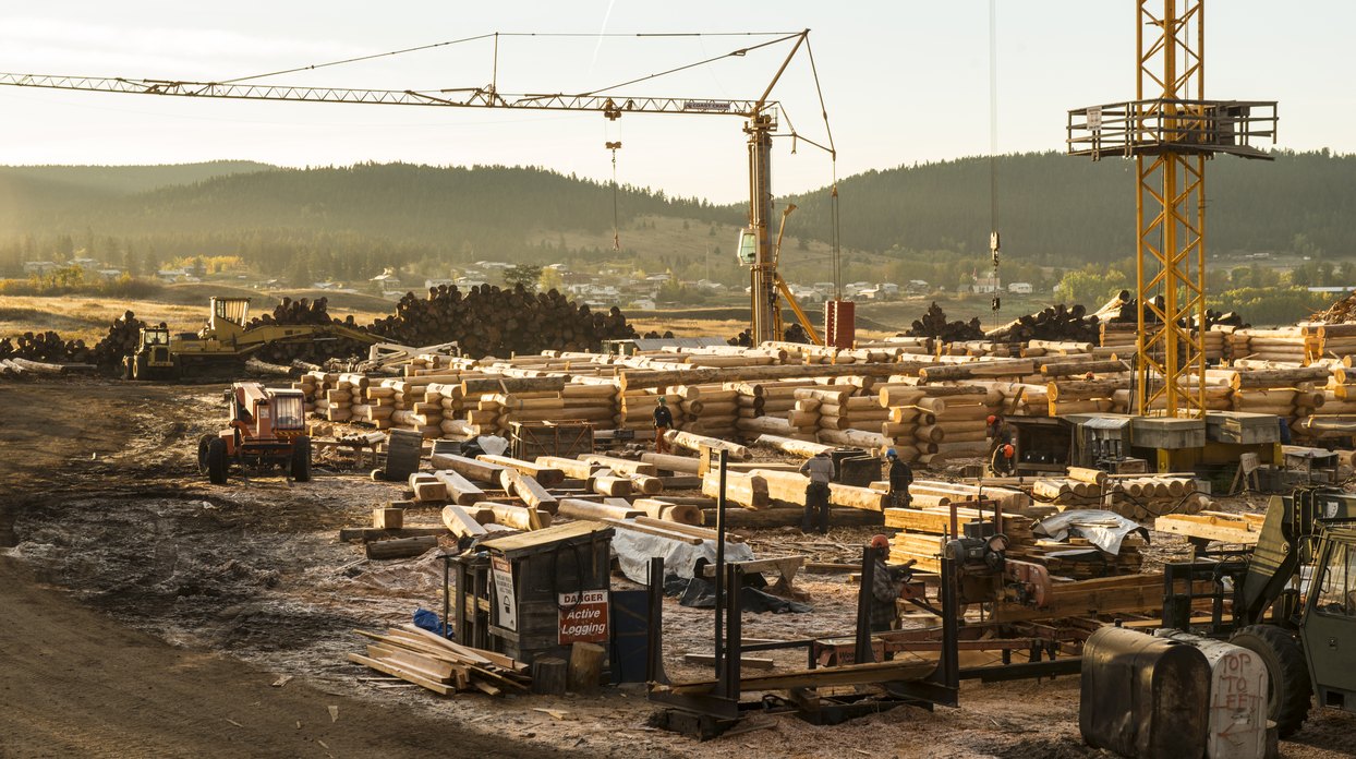 Play the Timber Kings sizzle reel