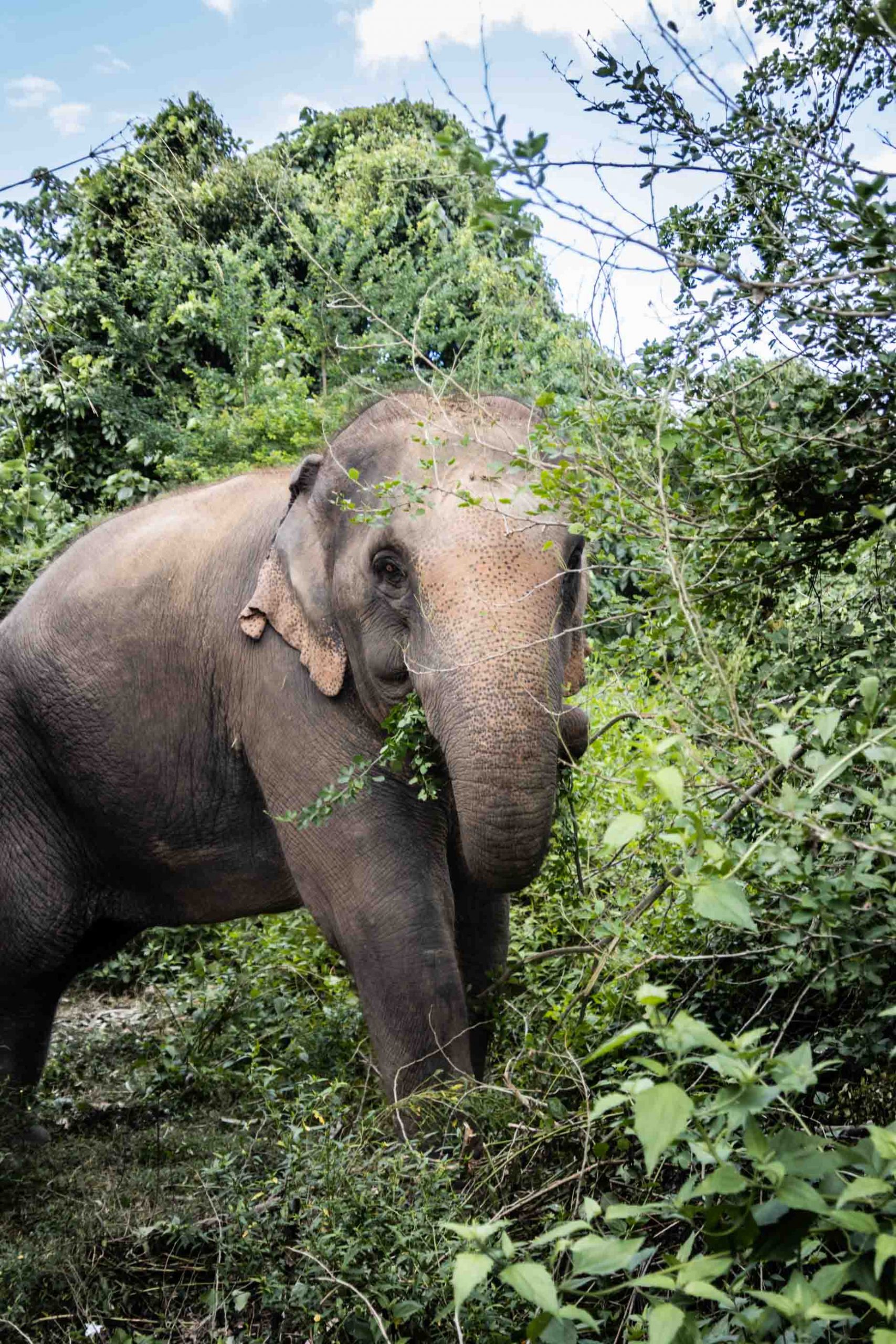 background image: serene landscape with river