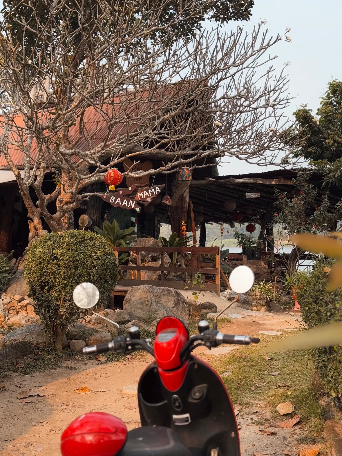 image of diverse wildlife in their natural habitats