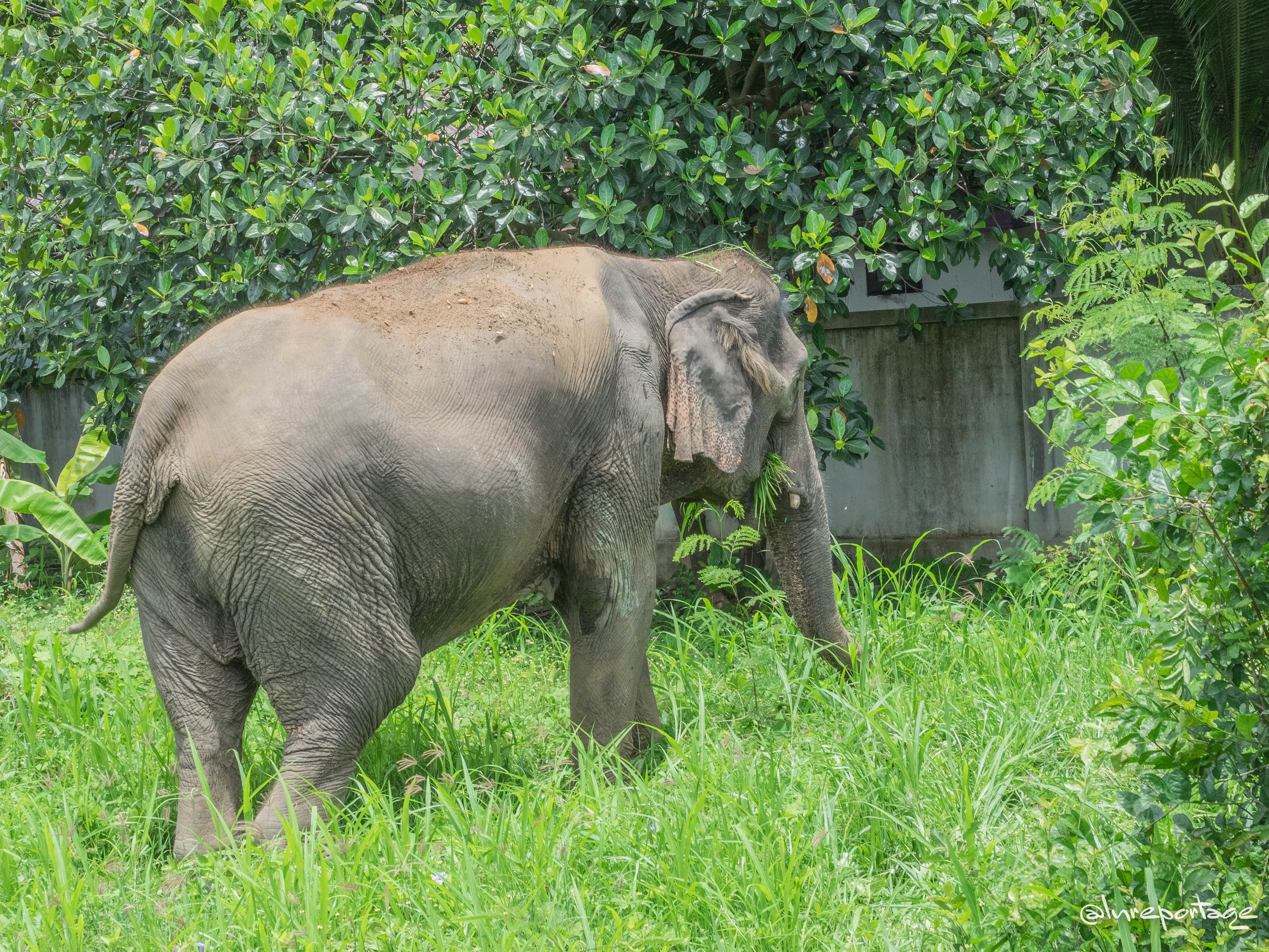 image of stunning wildlife in nature (for a travel agency)