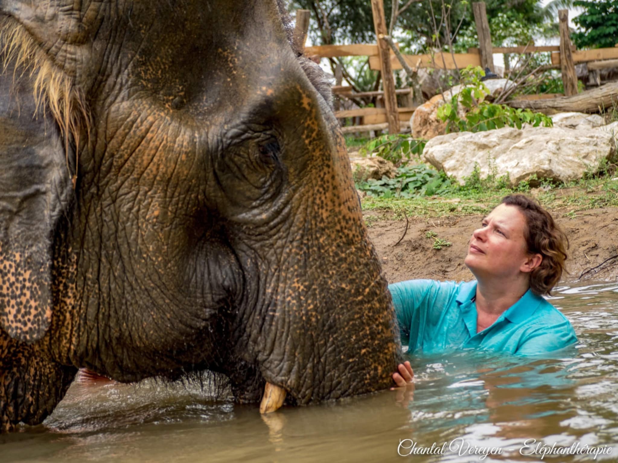 image of stunning wildlife in nature (for a travel agency)