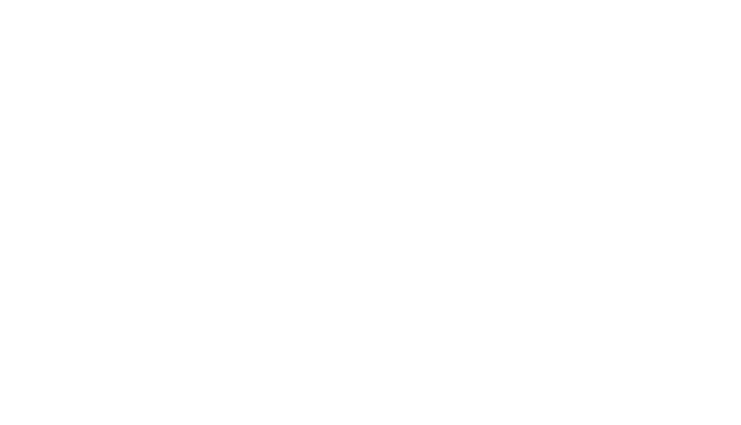 Fijian Drua
