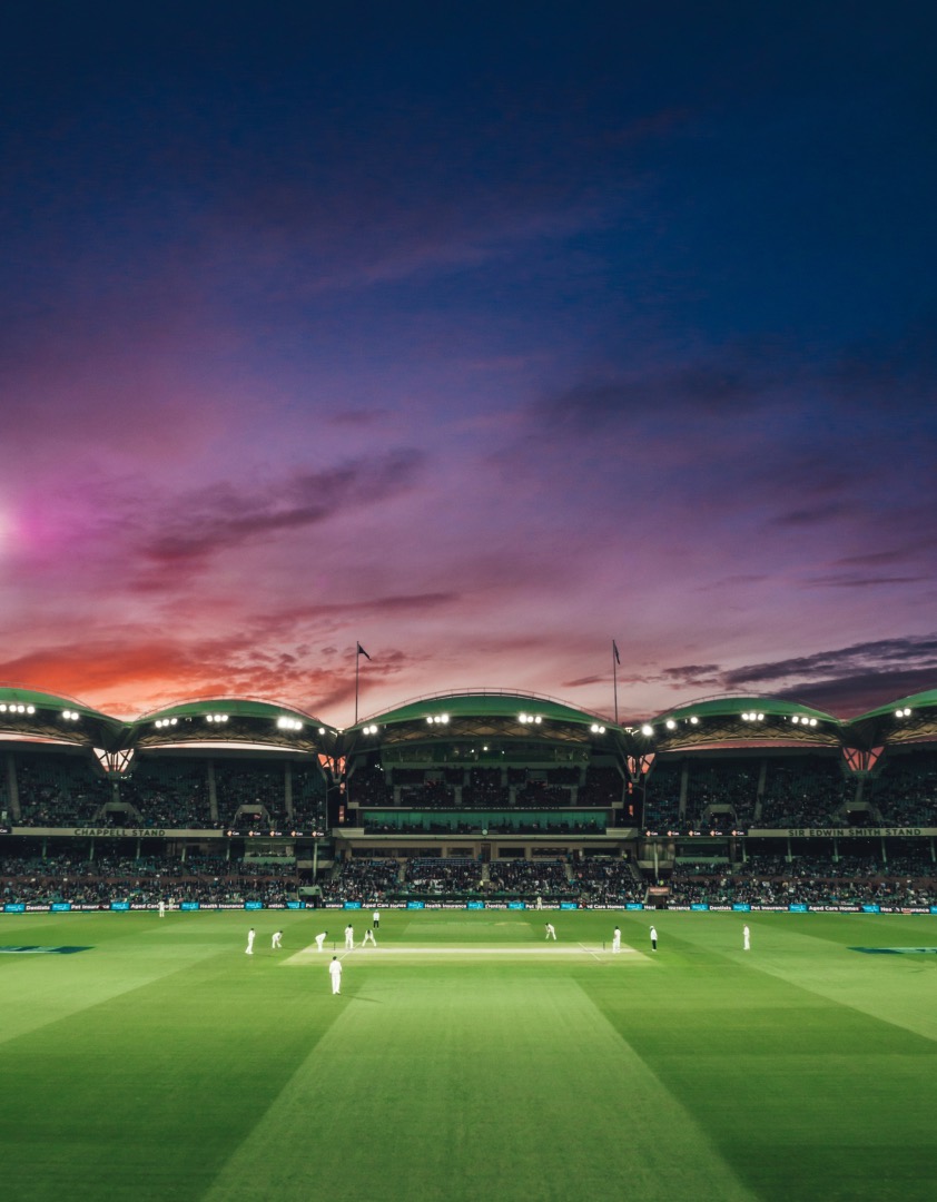 Cricket