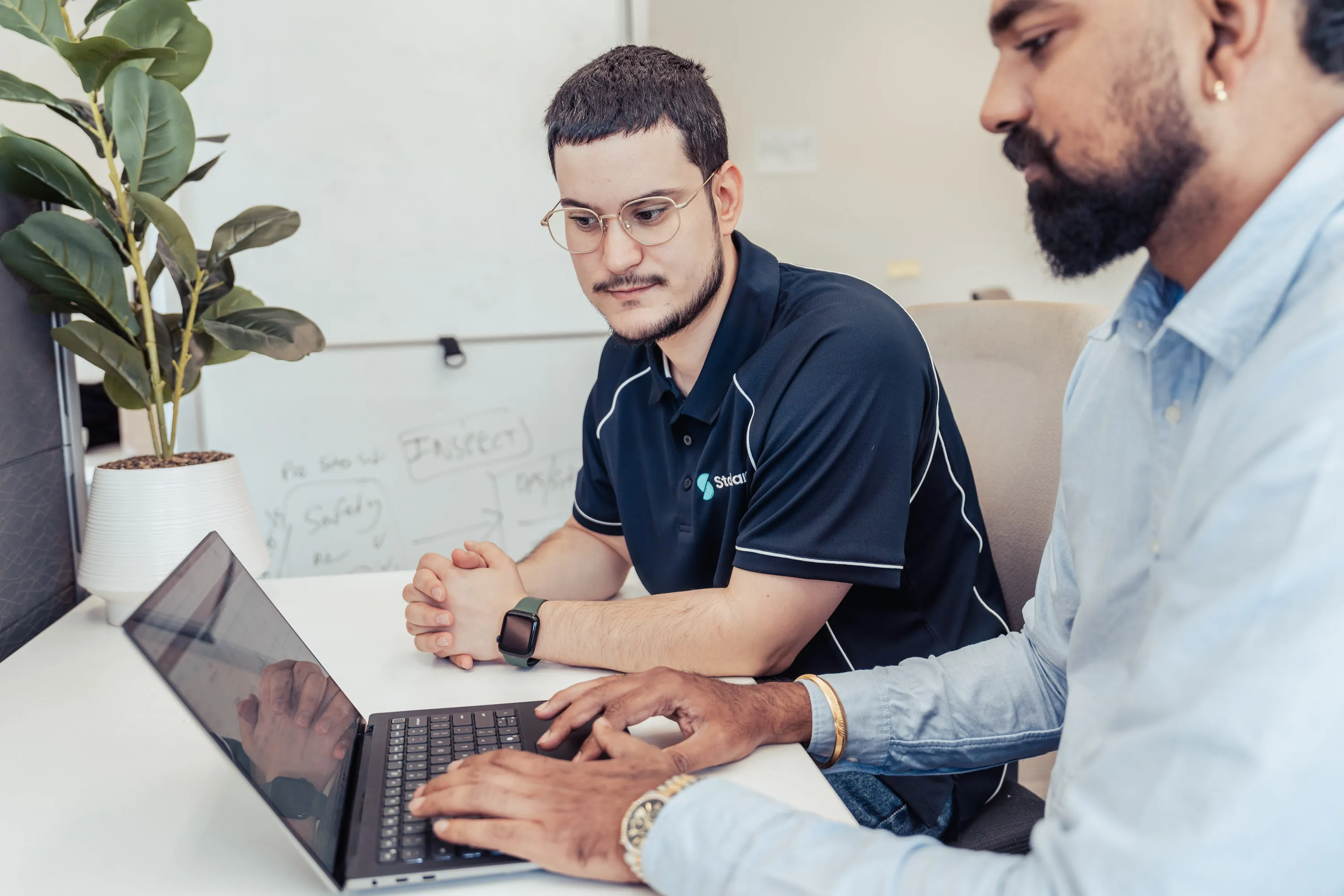 Two men working together on a laptop at a desk with a plant and whiteboard in the background.