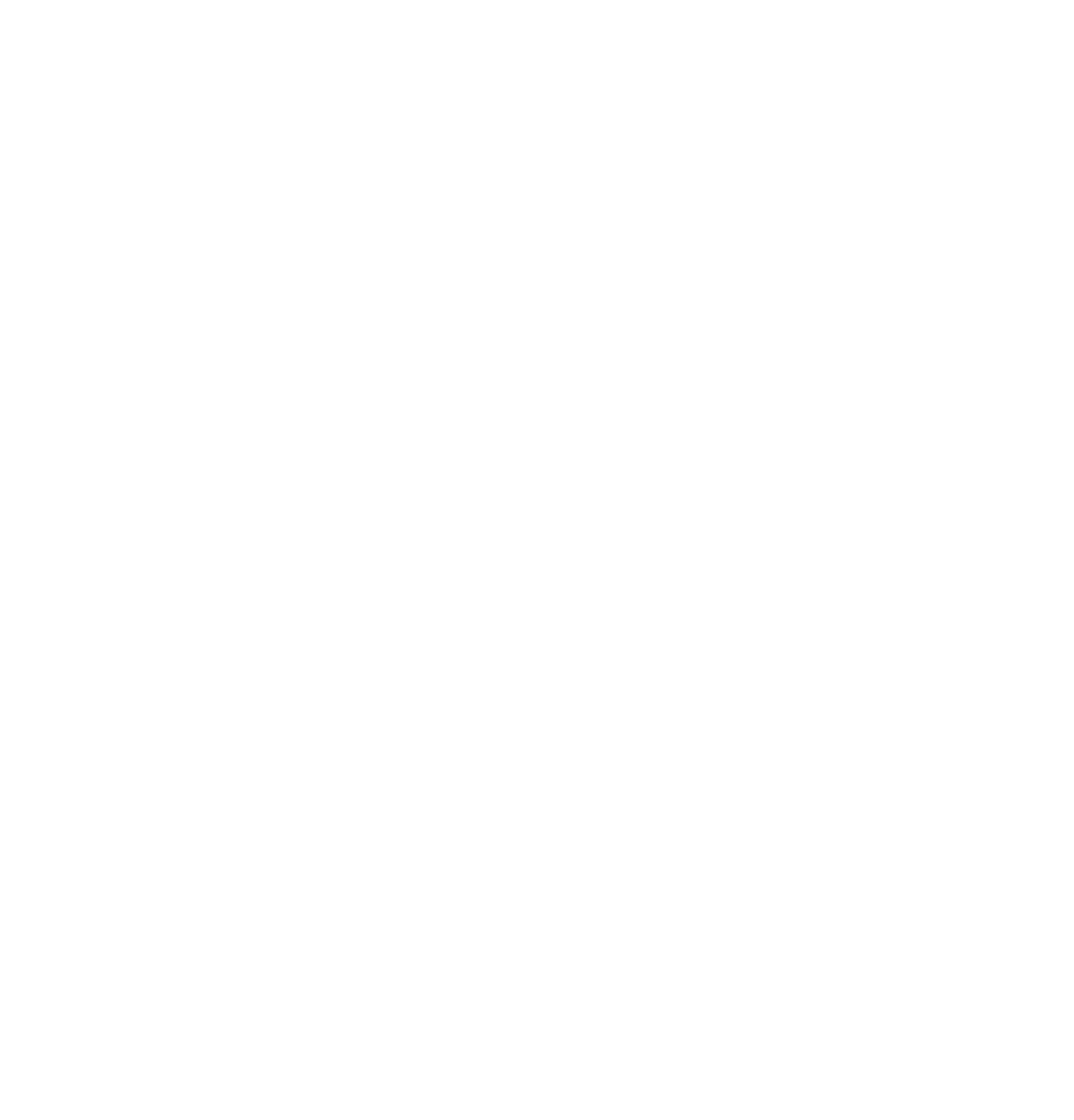 Bloom Accounting Solutions Service