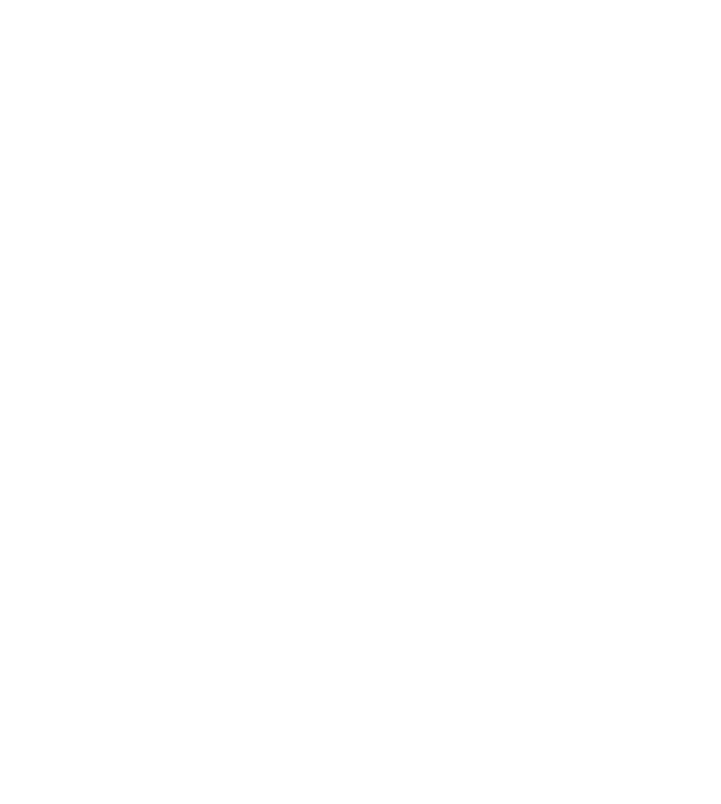 Bloom Accounting Solutions Service