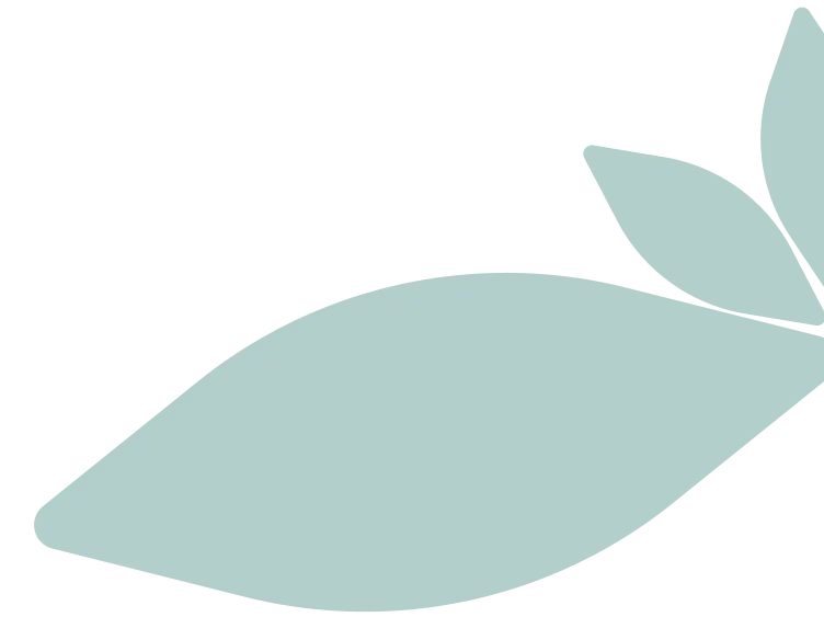 Bloom Accounting Solutions Service