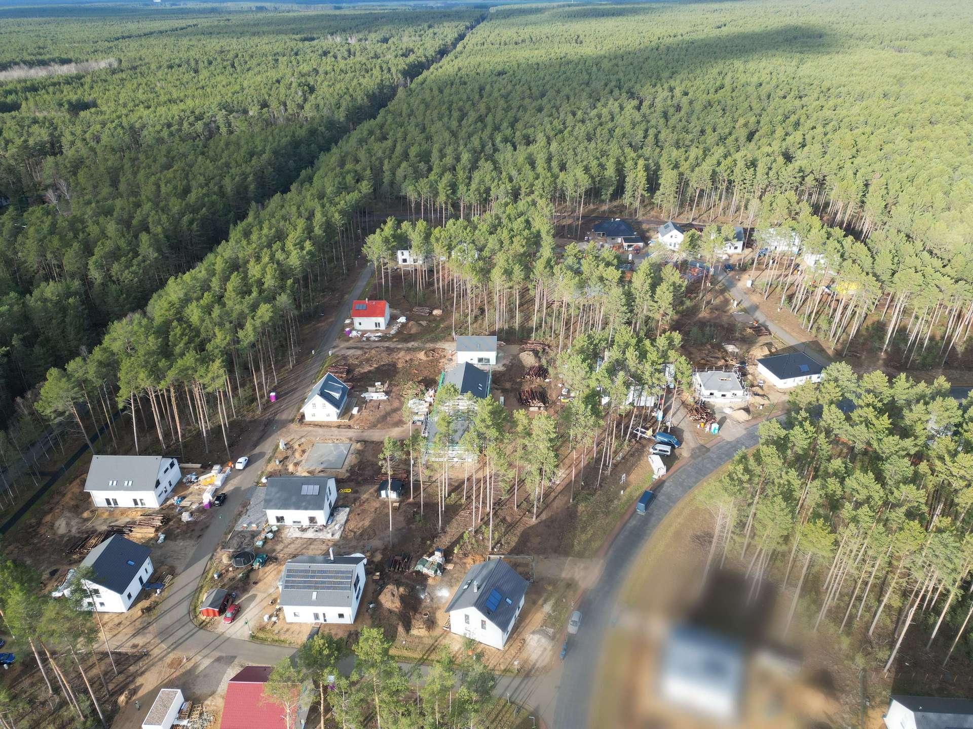 DJI_0110_Blur