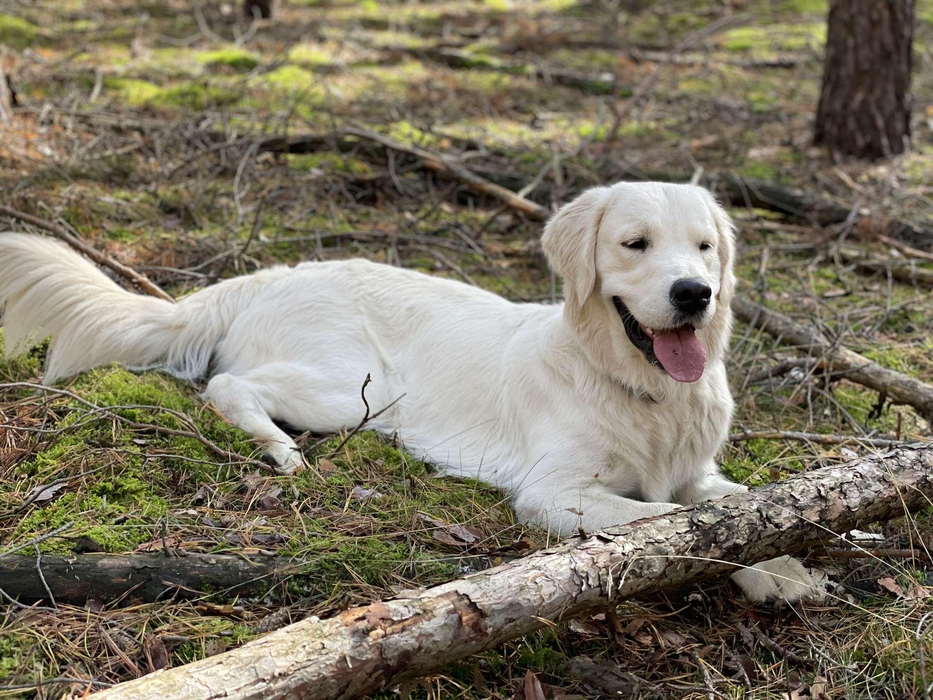 ein Wohlfühlort für alle Familienmitglieder