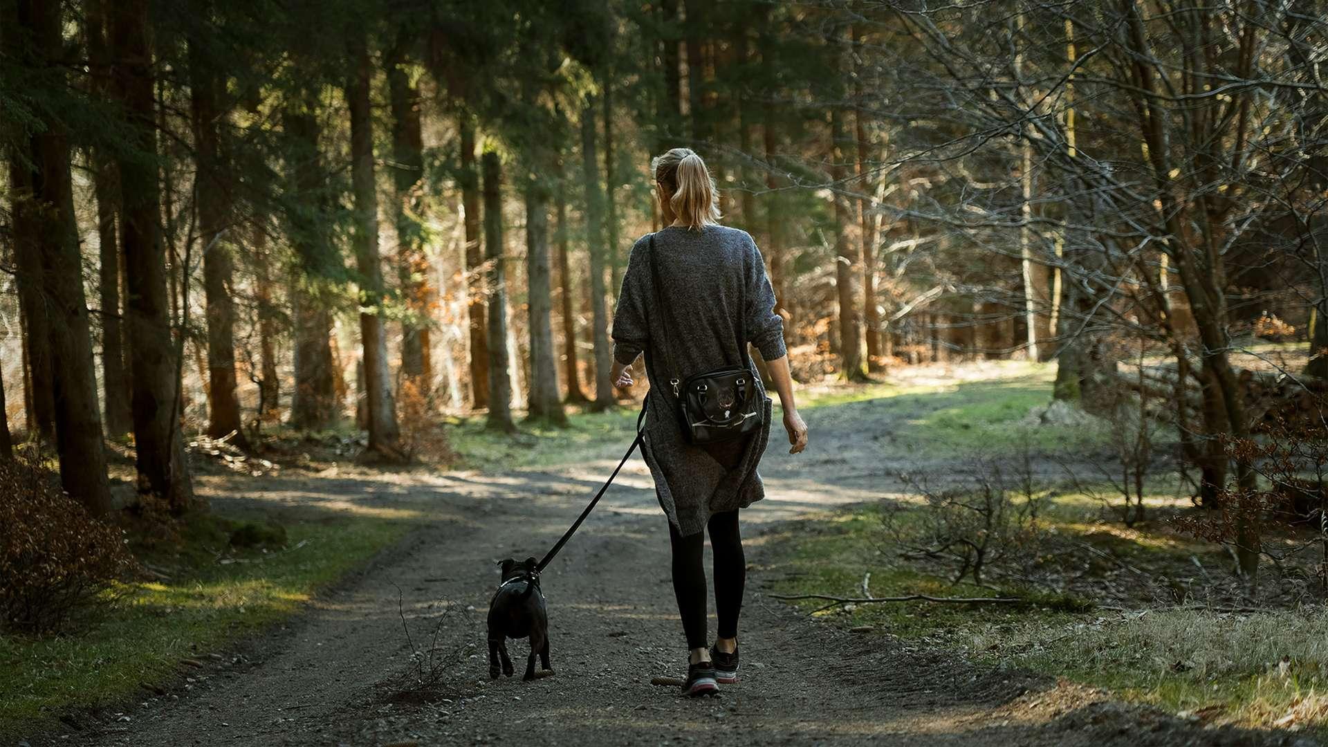 ein Paradies für alle Familienmitglieder