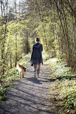Spaziergang im Wald