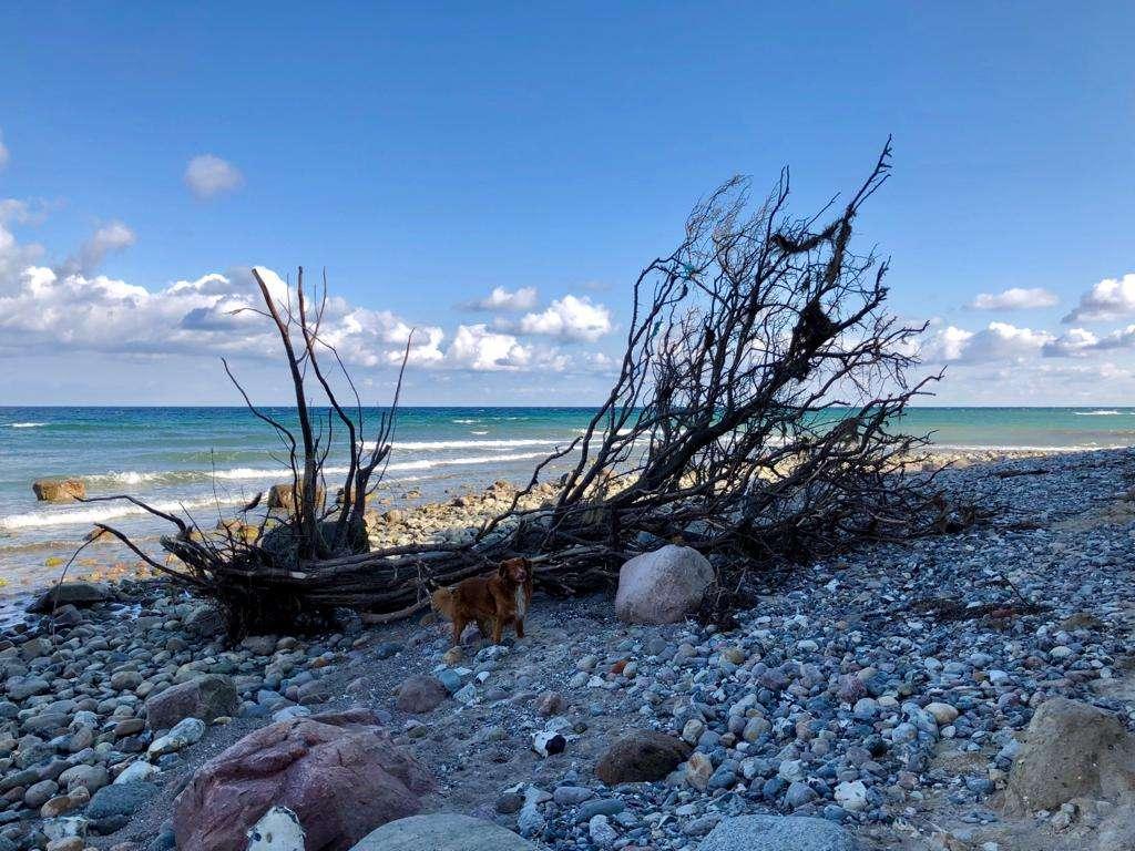 Natur pur