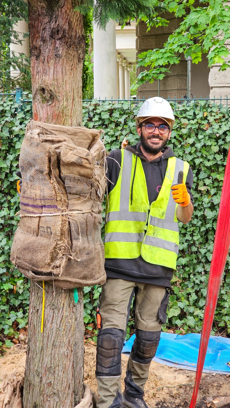 Keine alternative Textbeschreibung für dieses Bild vorhanden