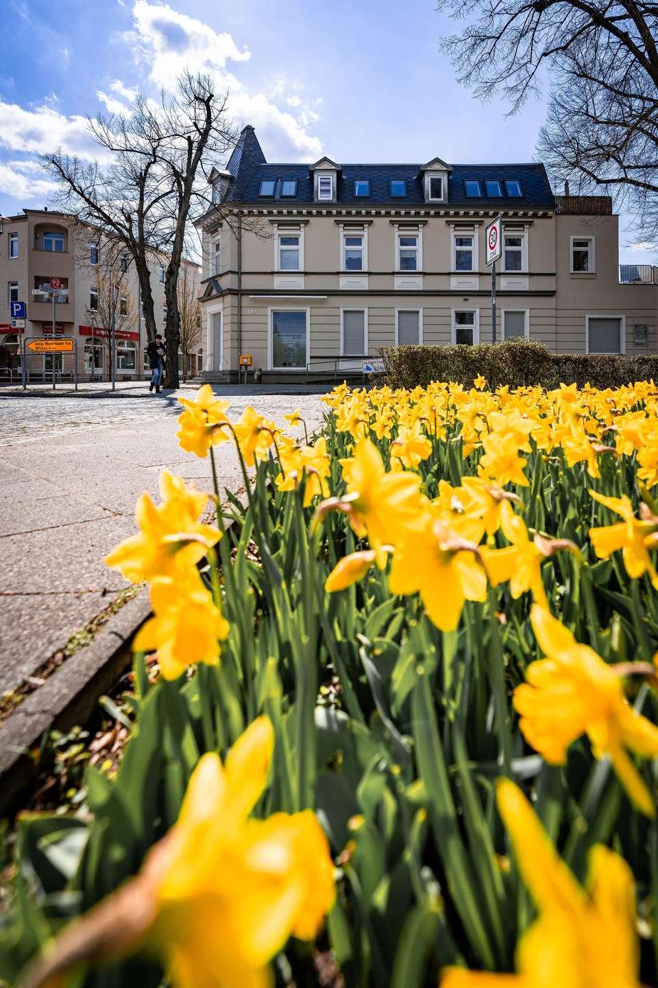 Frühling in Zeuthen