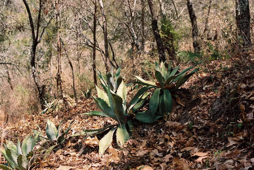 Image belles histoires