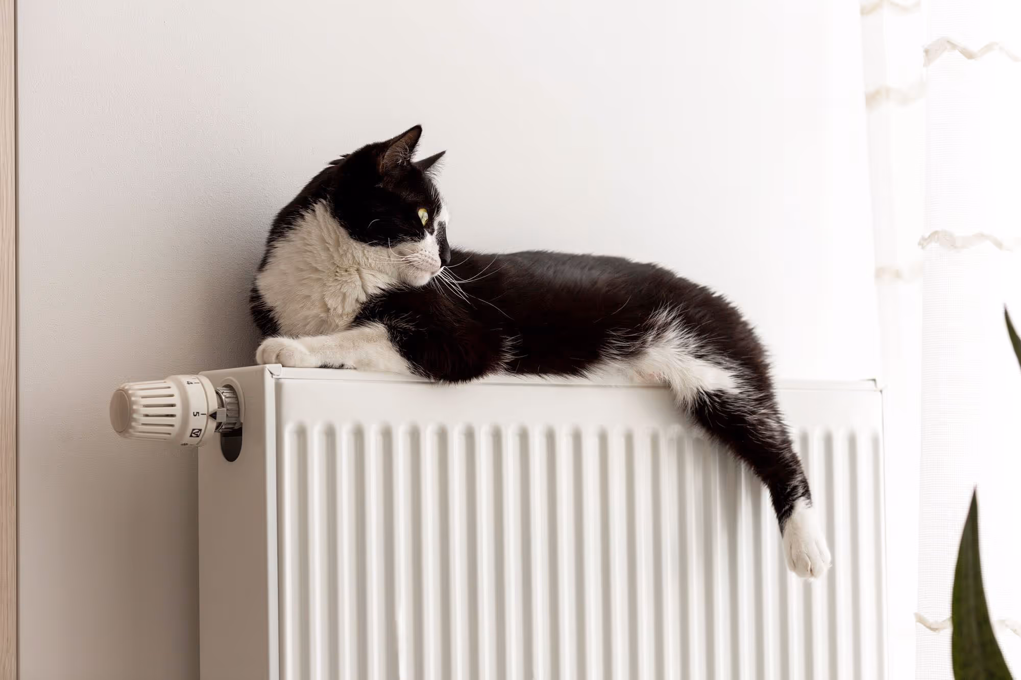 A black and white cat is lying on top of a radiator, looking to the side.
