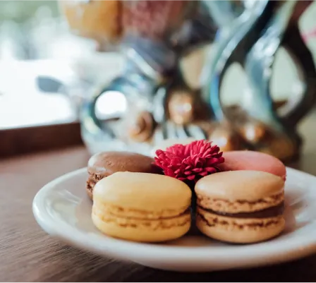 Bunte Macarons als kleine Desserts auf einem Teller, dekorativ präsentiert als Ergänzung zum Catering-Angebot.