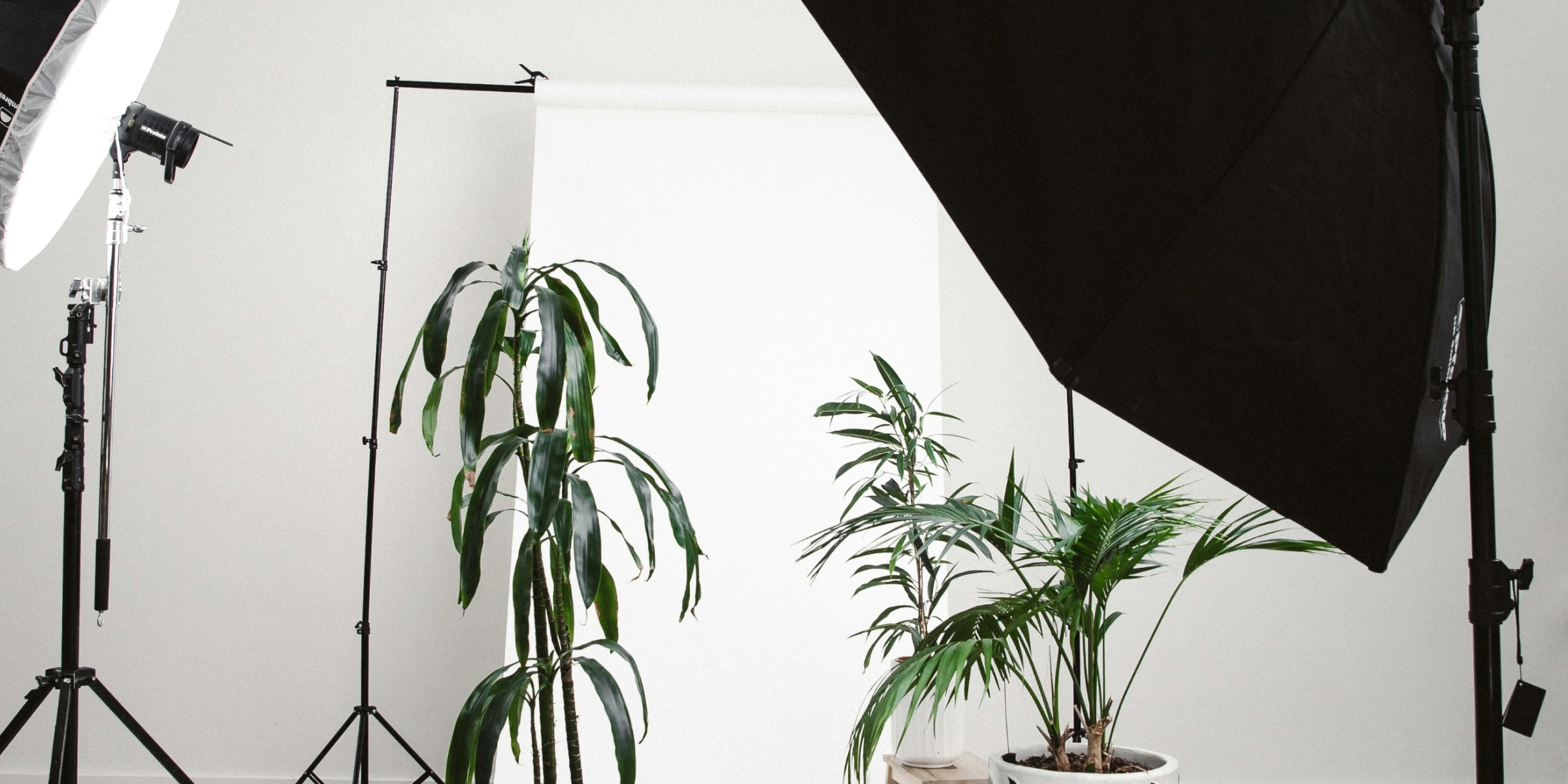 Fotostudio Equipment