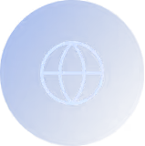 White globe icon representing global or internet on a blue circular background.