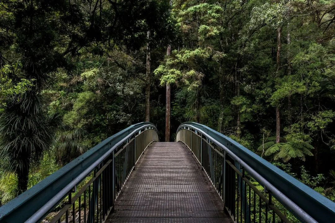 A metal bridge arches over a lush, green forest, surrounded by dense trees and vibrant foliage under natural light.