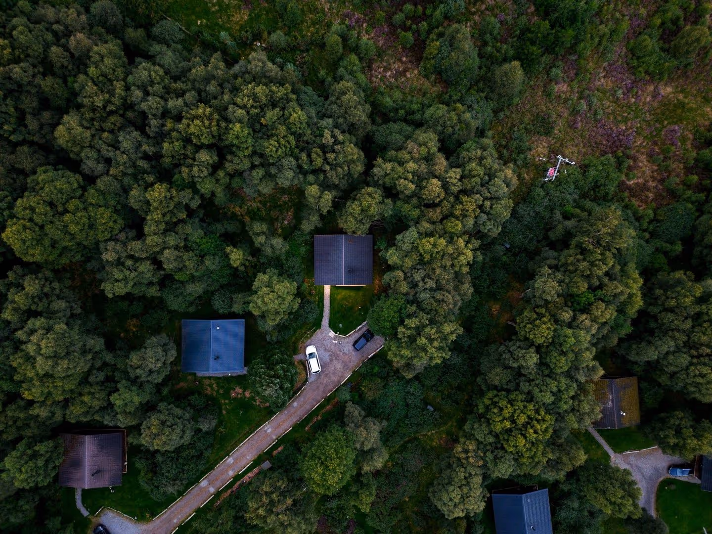 Aerial view of dark-roofed houses surrounded by dense greenery and trees, with a winding road and a faint outline of a nearby clearing.