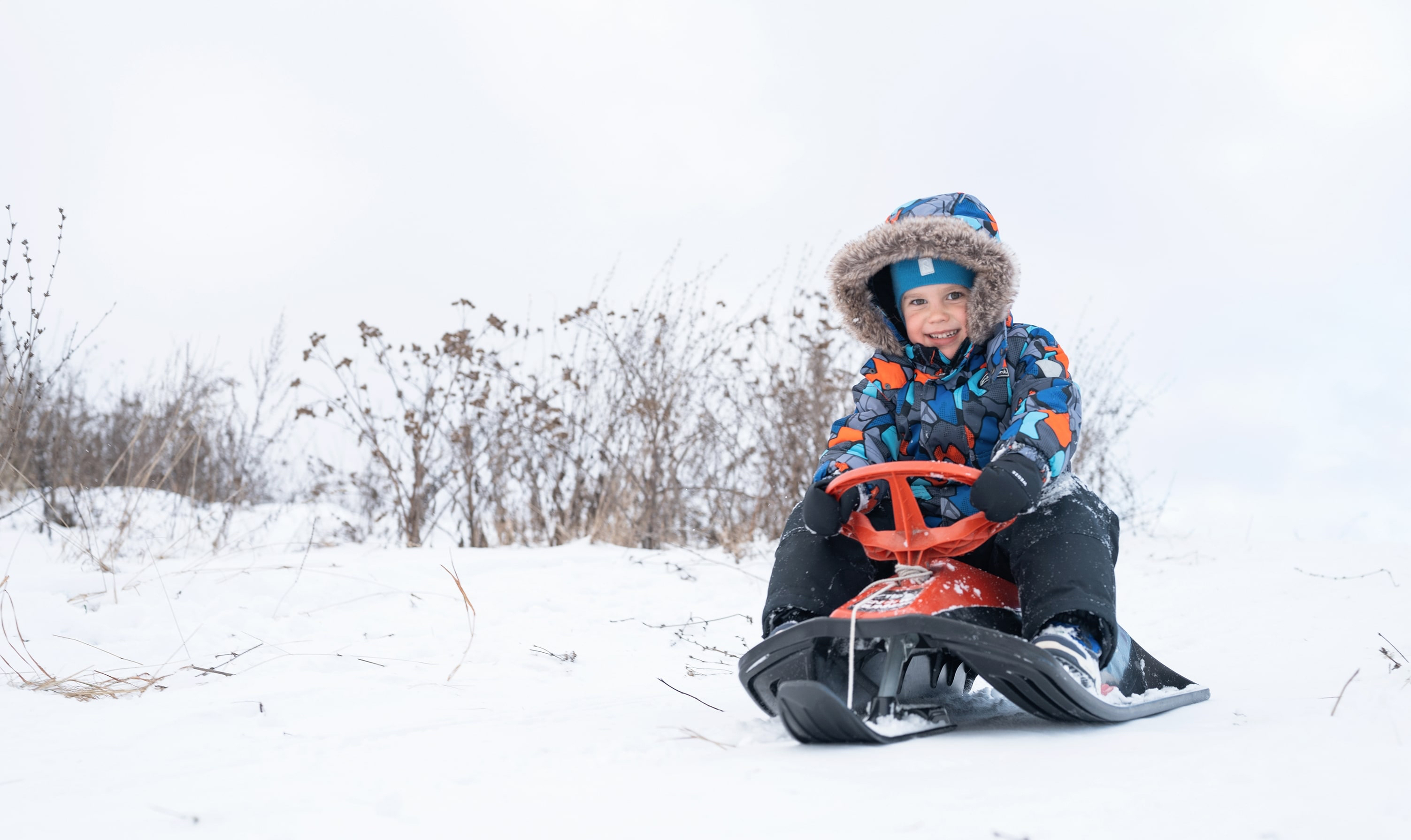 Happy five-year-old boy sledding down a snowy hill during winter holidays in Lapland.