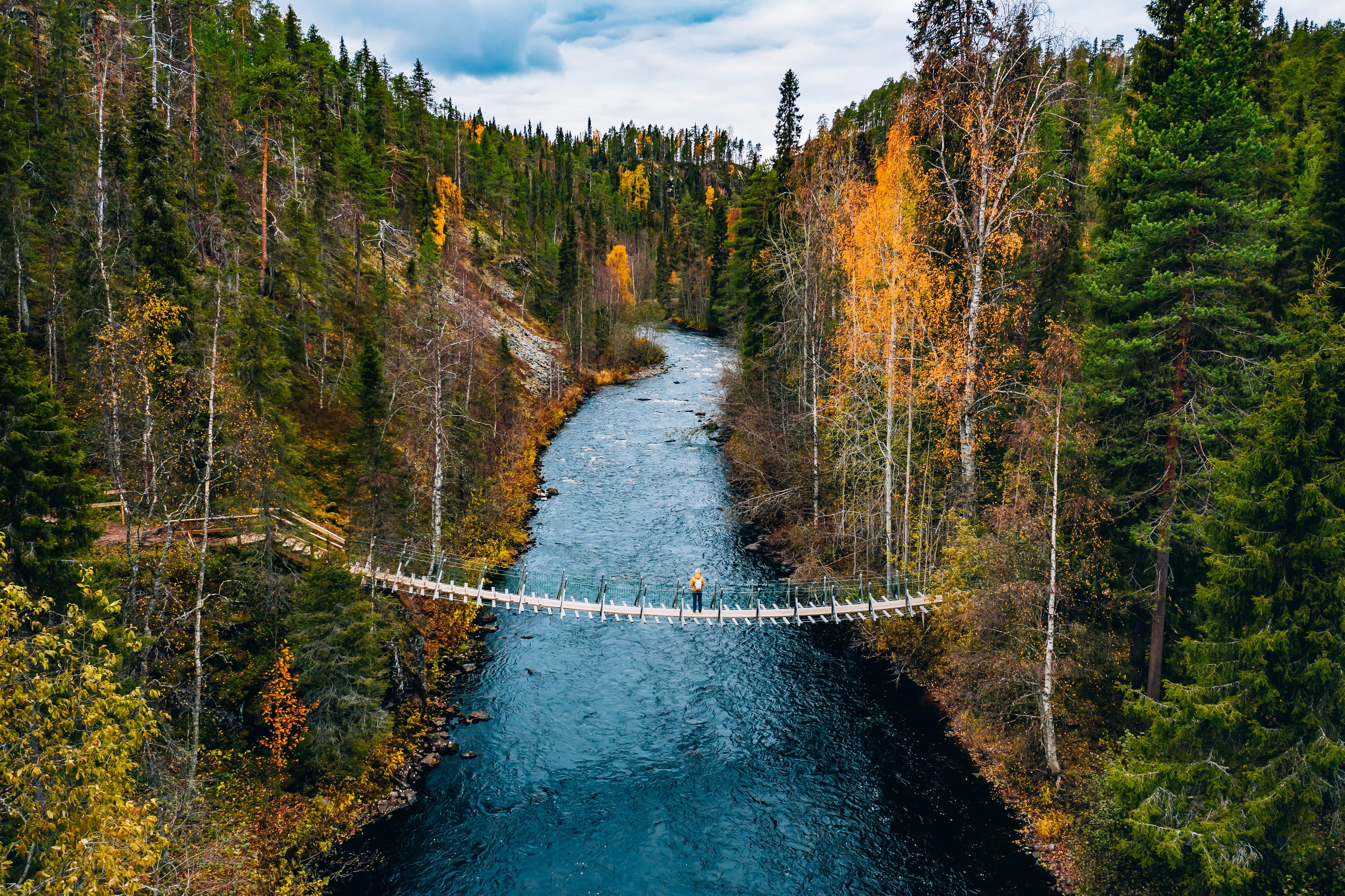 Aerial view of colorful autumn forest and blue river with a bridge and a lone hiker in a yellow jacket in Finnish Lapland.