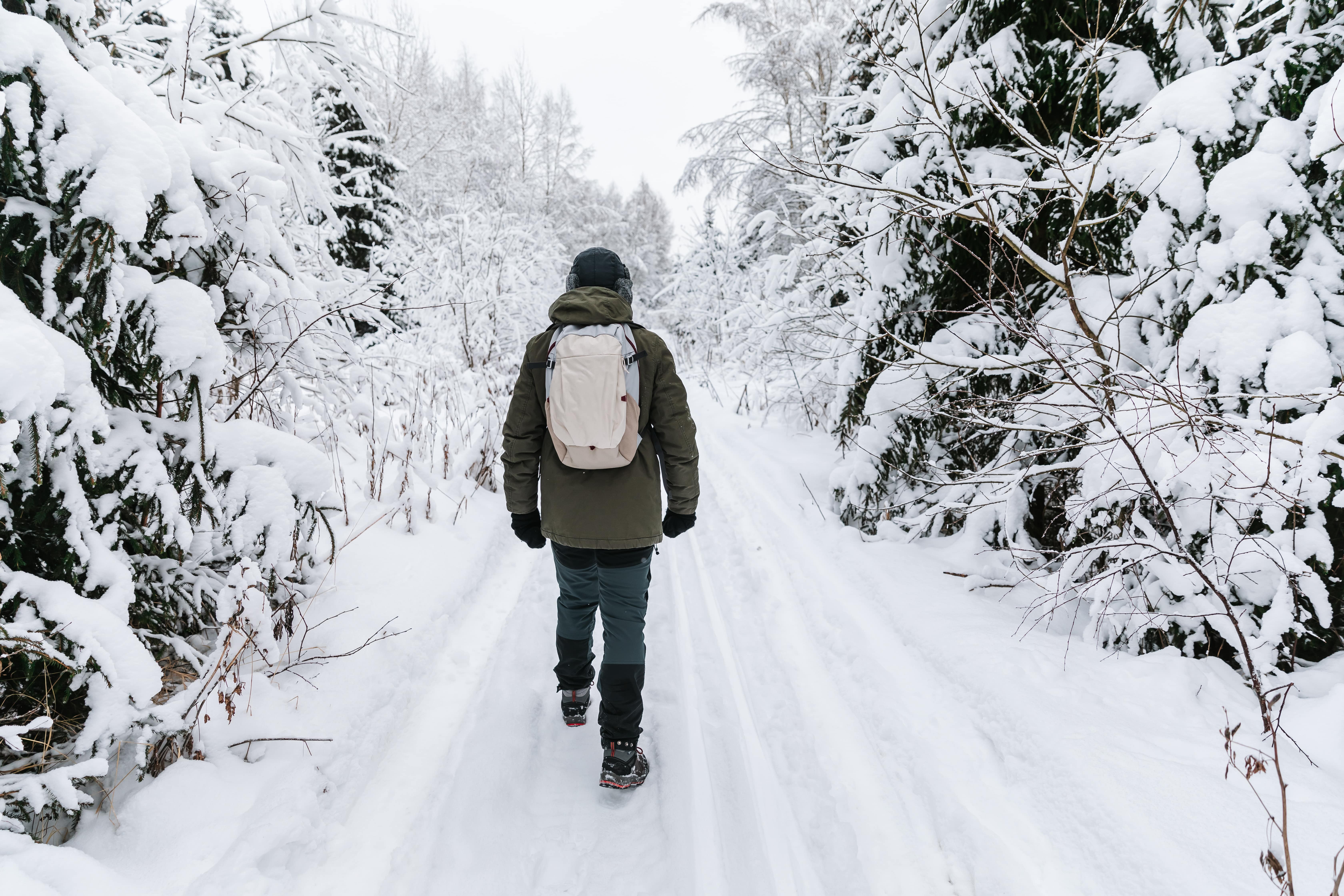 Man with a backpack walking through a snow-covered forest, seen from behind, during winter in Lapland.